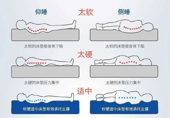 床墊貼合度